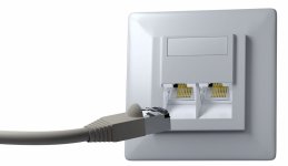 netzwerkdose-stecker-rj45-praefulgeo-adobestock.jpg