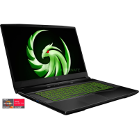 MSI Alpha 17 - B5EEK-015 Gaming-Notebook (Ryzen 7 5800H, Radeon RX 6600M, 144Hz) für 1179€