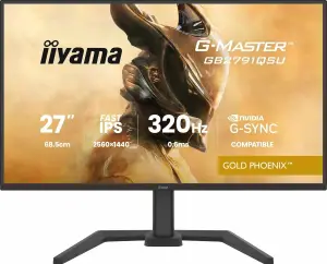 iiyama G-Master (320Hz, WQHD, 27", IPS, G-Sync Compatible, HDMI 2.1)