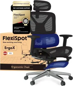 FlexiSpot ErgoX Wave (schwarz, Synchronmechanik, Ergonomischer Bürostuhl, Meshbezug, justierbare Lendenwirbelstütze)